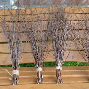 Birch branches  birch 100 pieces, wedding birch decor, forest wedding, birch branch, birch twigs, decorative twigs. Set of 4 packs
