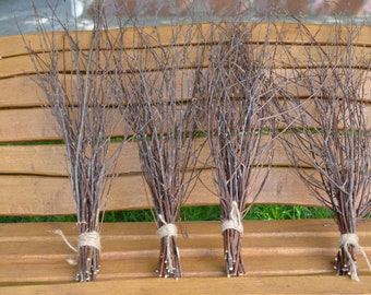 Birch branches  birch 100 pieces, wedding birch decor, forest wedding, birch branch, birch twigs, decorative twigs. Set of 4 packs