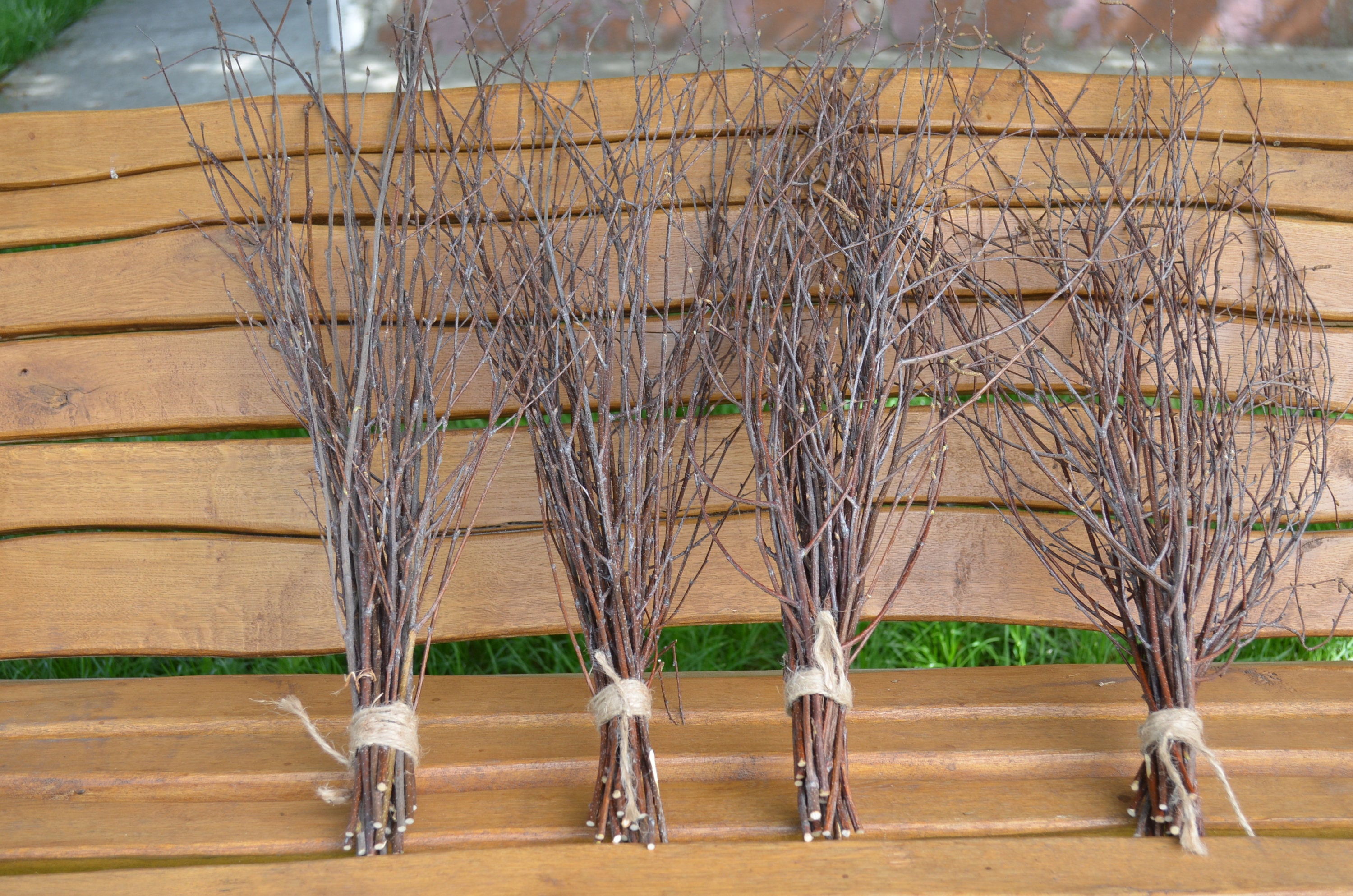 Birch twigs for sale hotsell