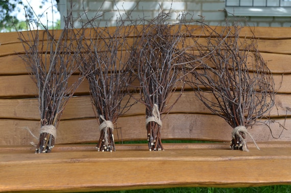 Ramoscelli di betulla Rami decorativi naturali per centrotavola vaso e  artigianato fai-da-te Bastoncini di betulla per la decorazione