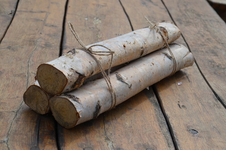 rustic decor fireplace decor rustic craft supply Christmas decor birch forest White birch logs 3 white birch logs