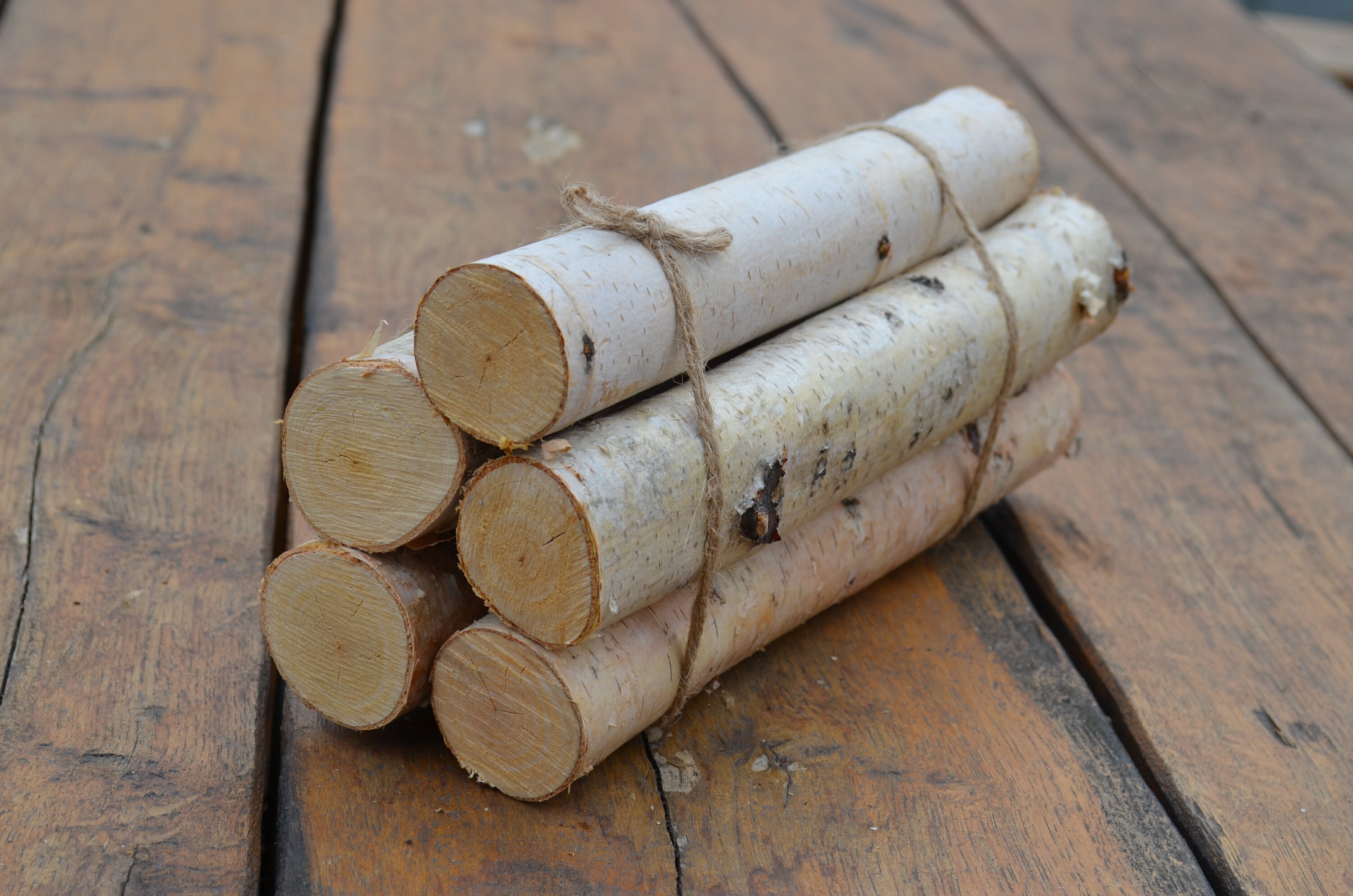 Birch Log Craft Birch Wood Birch Logs Birch Decorations Etsy