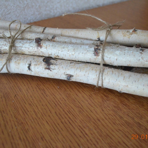 7 White Birch Branches,Birch sticks, Decorative Birch Wood Birch Rustic Birch Decor, Birch Log,Craft Supply,Woodworking Supply,Carving Wood.