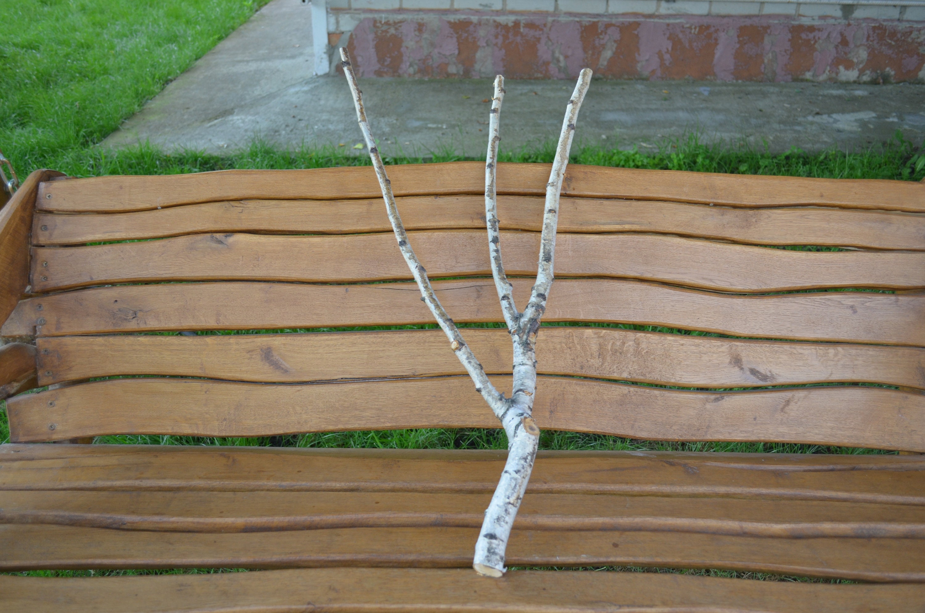 White Birch Branches Birch Branches Branched White Birch Etsy