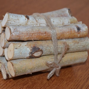 Aazon.co: Wilson Decorative White Birch Logs, Natural Bark Wood Hoe