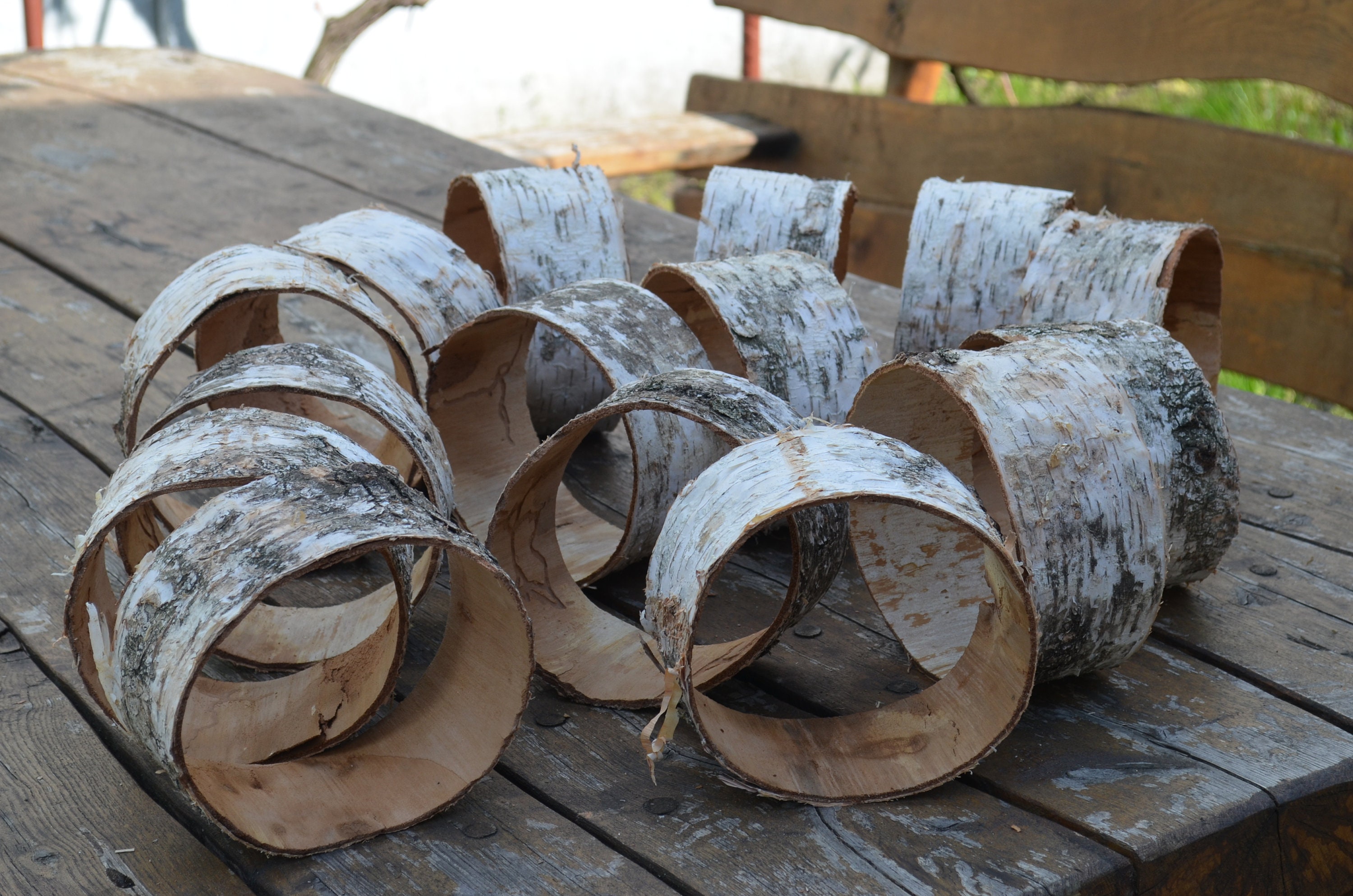 Large Natural White Birch Bark Sheets White Birch Bark round Etsy