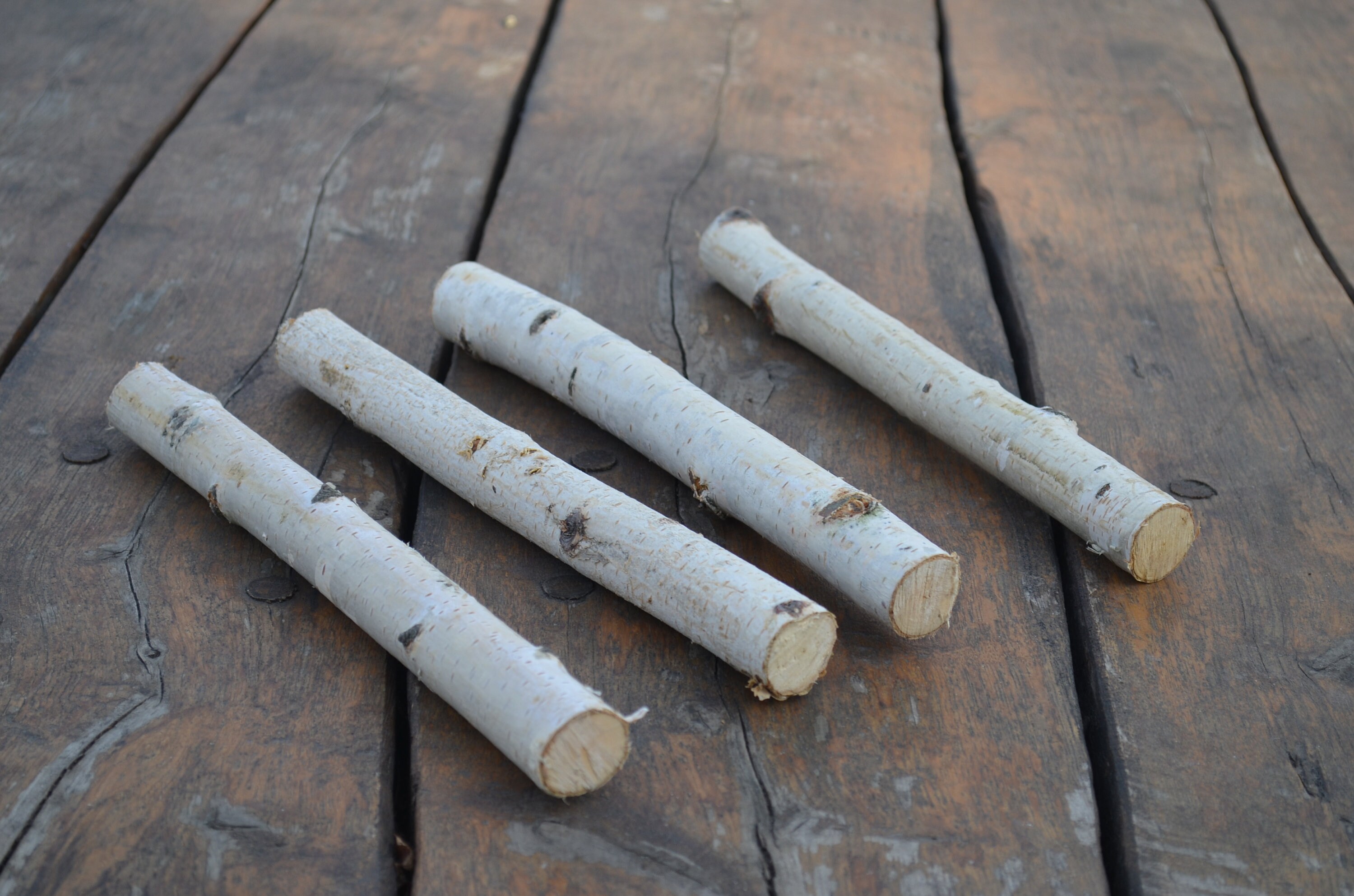 Birch Bundle Logs of 4 White Birch Logs rustic craft supply Etsy