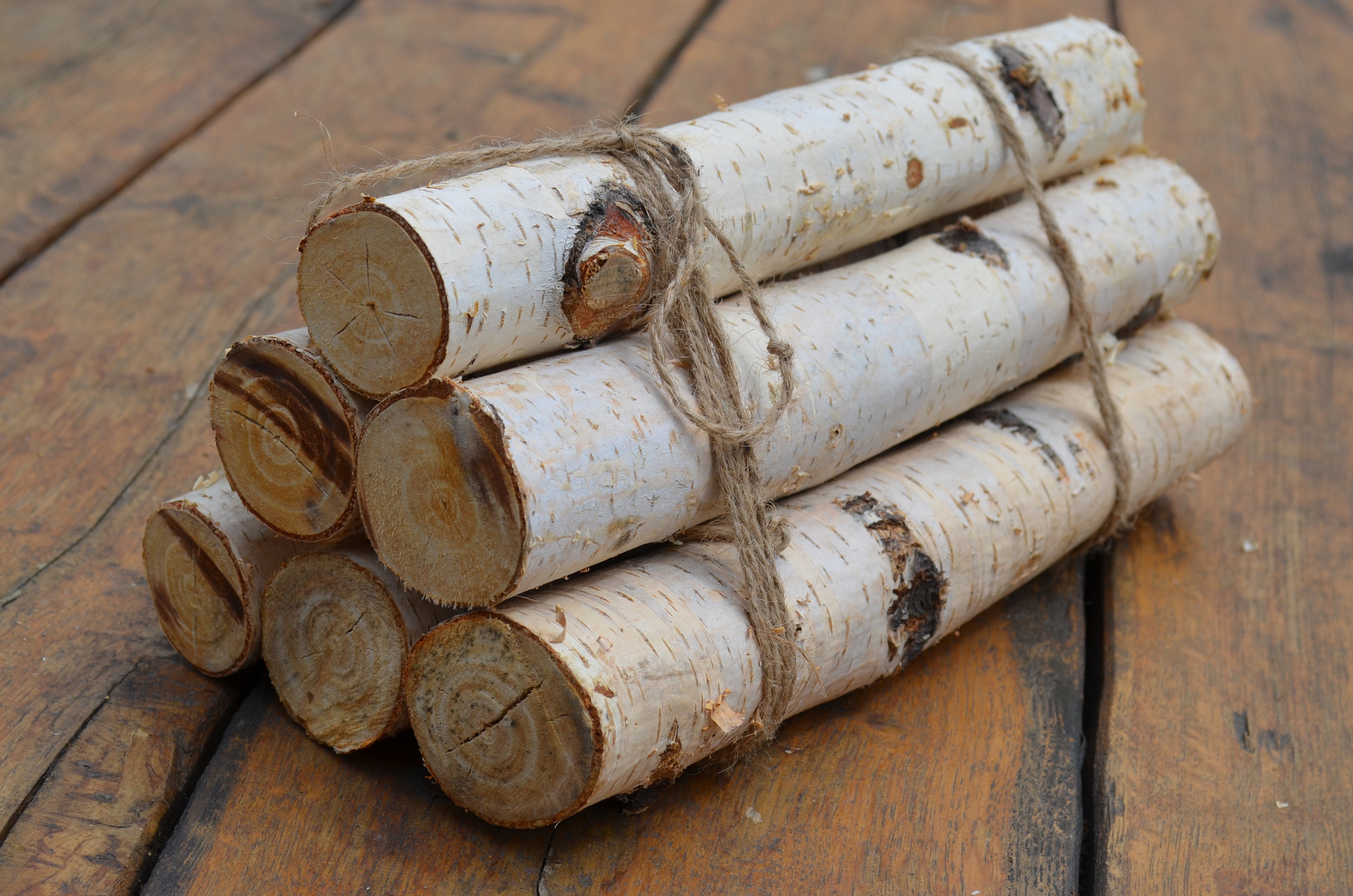 White Birch Logs 6 White Birch Logs, Rustic Craft Supply, Rustic