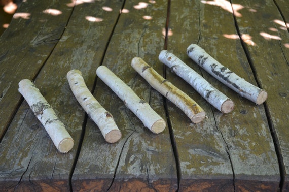 30 Birch Sticks. Wood Crafts. Wooden Sticks. Birch Wood Logs.forest Birch. Wood  Craft Sticks. Birch Sticks. Natural Wood Sticks 