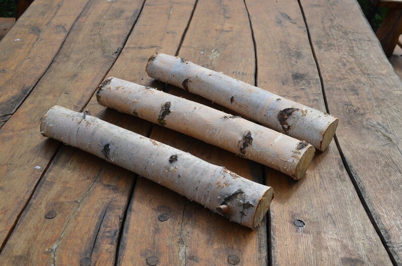 rustic decor fireplace decor rustic craft supply Christmas decor birch forest White birch logs 3 white birch logs