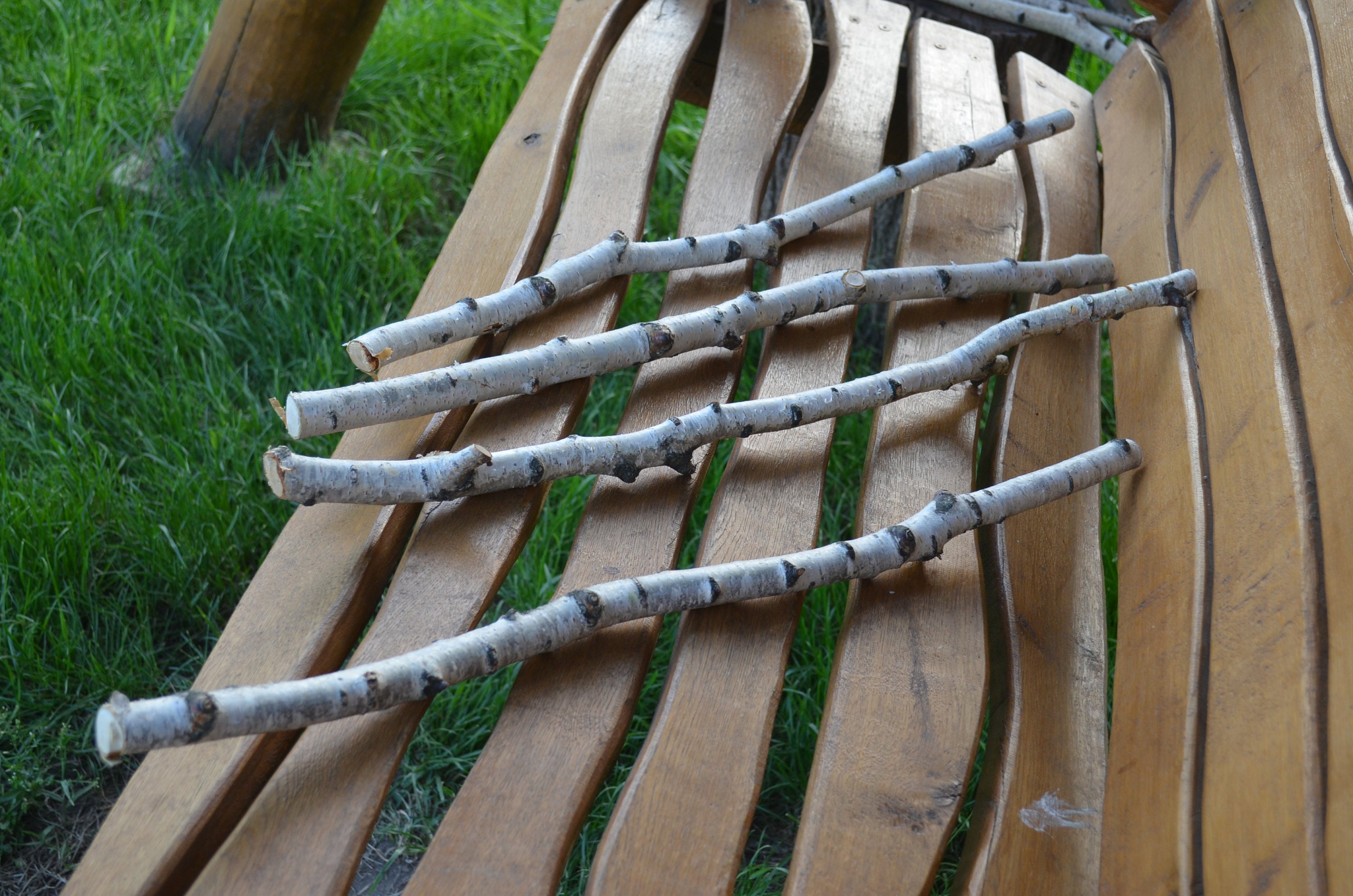 30 Birch Sticks. Wood Crafts. Wooden Sticks. Birch Wood Logs.forest Birch.  Wood Craft Sticks. Birch Sticks. Natural Wood Sticks 