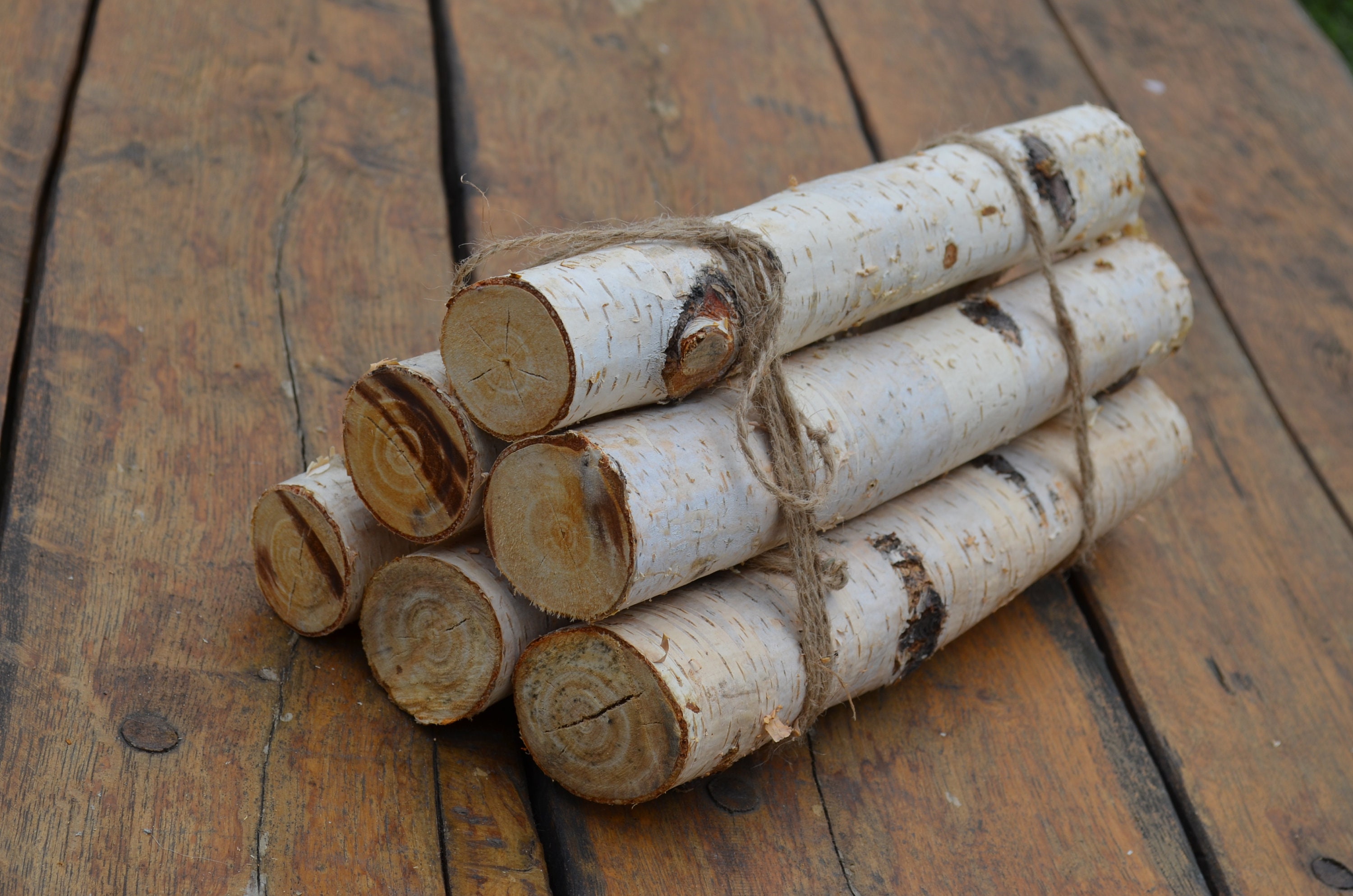 White Birch Logs 6 White Birch Logs Rustic Craft Supply Etsy