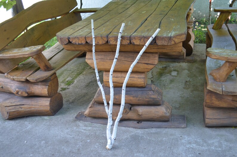 Decorative Birch Branches White Birch Branches Birch Snags Etsy