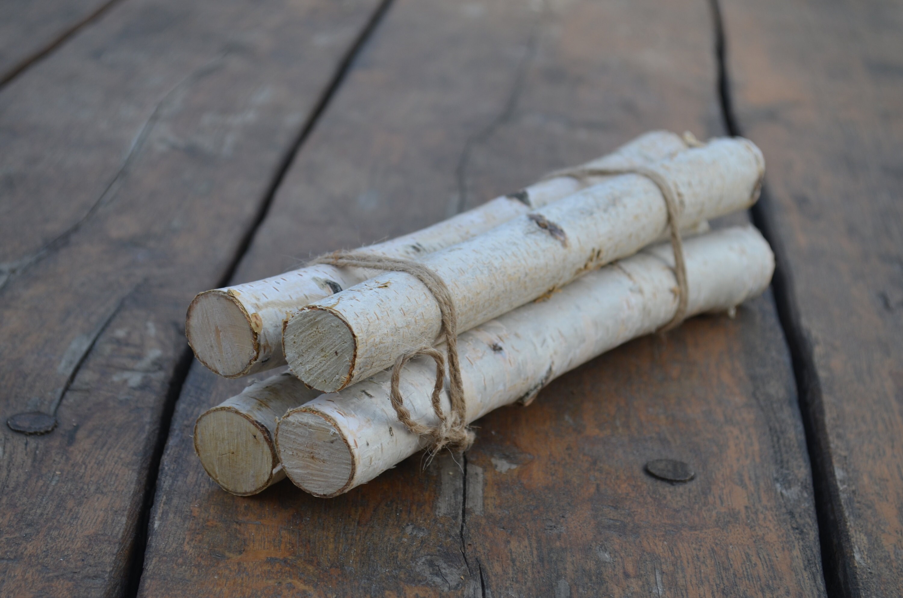 Birch Bundle Logs of 4 White Birch Logs Rustic Craft Supply Etsy Canada