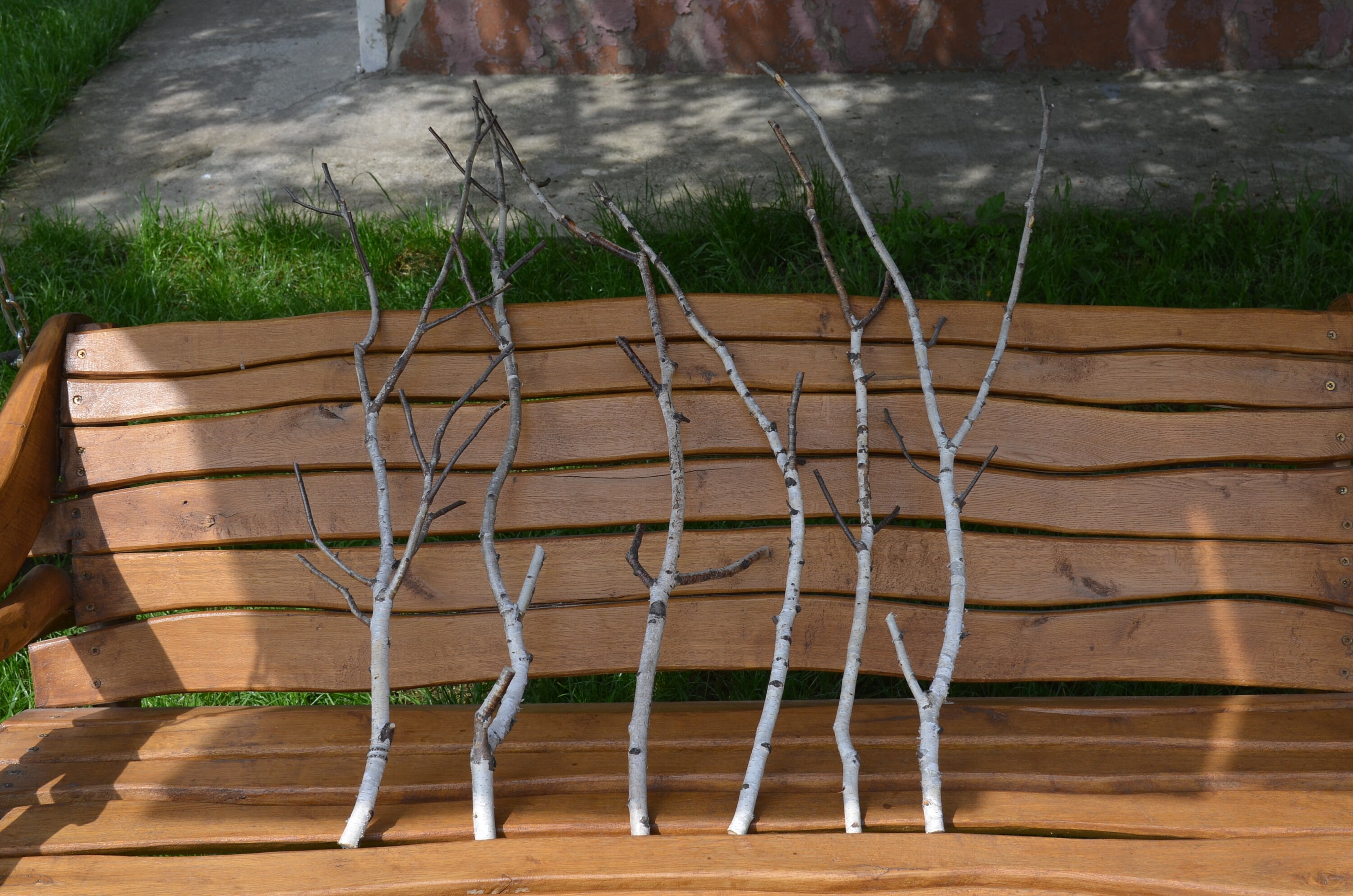 Birch Branches of a White Birch Set 6 Birch Branches 33 Etsy UK