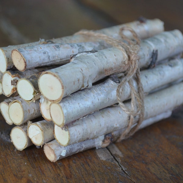 Bûches de bouleau blanc, mini bâtons de bouleau, ensemble 14 bâtons en bois, décor deko, garniture en bois, bois de bouleau décoratif, fourniture de Kraft naturel