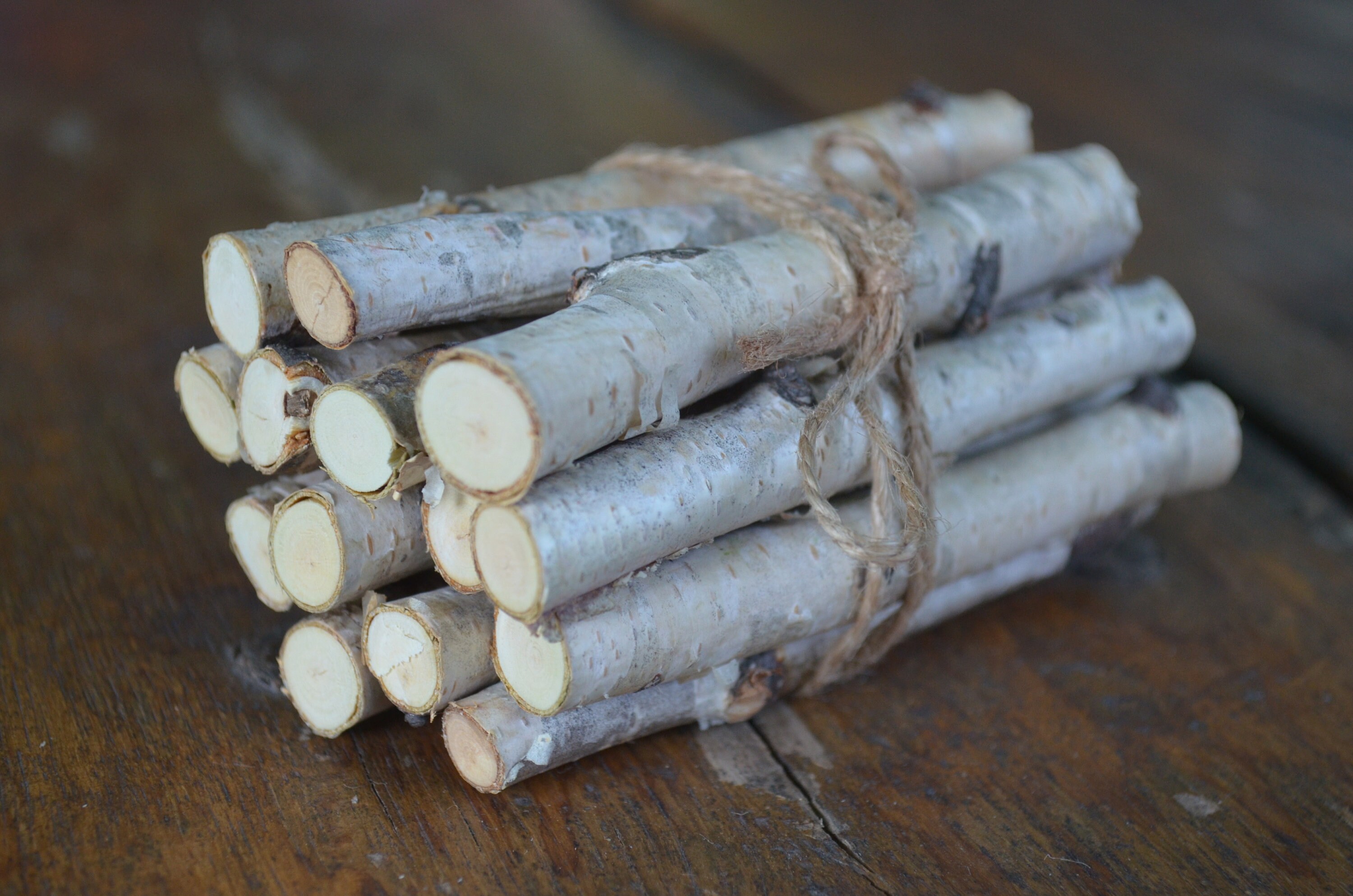 White Birch Logs Mini Birch Sticks Set 14 Wooden Sticks Etsy Canada