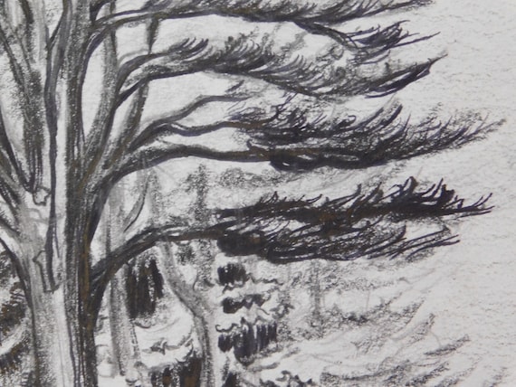 Simple and freeing 1-minute sketches - SPARK IN NATURE