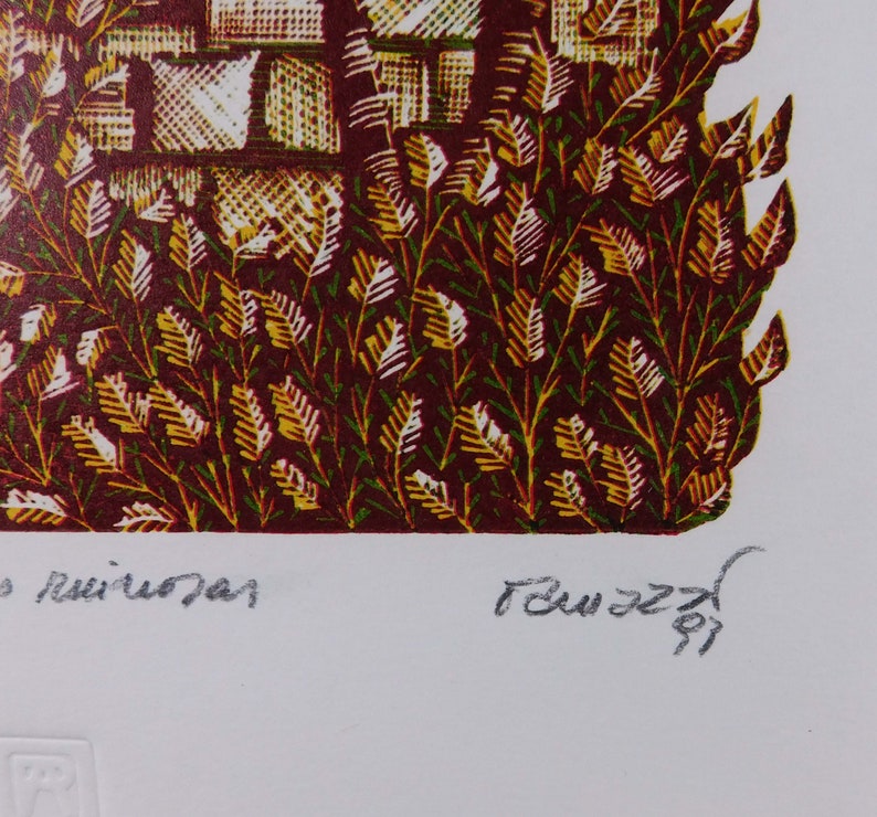 May include: A close-up of a colorful print with a red, green, and yellow pattern. The print is signed "Remuzzi 91" in the bottom right corner.