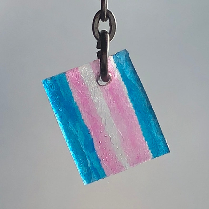 Tiny Baby Pride Flag Earrings