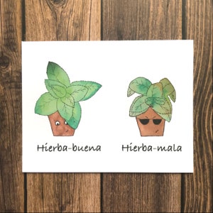 Spanish Plant Card- Hierba-Buena, Hierba-Mala
