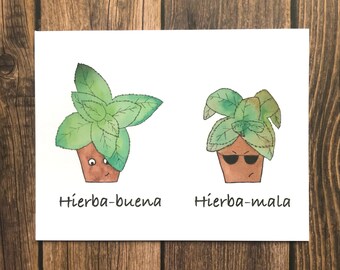 Spanish Plant Card- Hierba-Buena, Hierba-Mala
