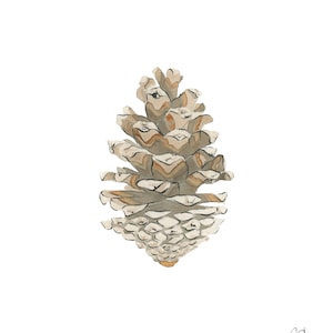 Pinecone Art Print