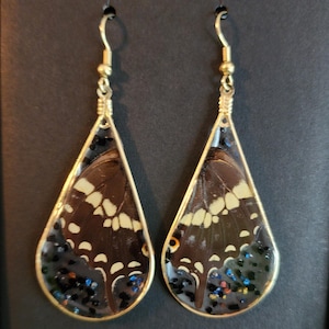 May include: A pair of teardrop-shaped earrings featuring brown butterfly wing segments encased in clear resin with embedded black, blue, and orange glitter accents. The earrings are set in gold-toned metal frames and include gold-toned ear wires.