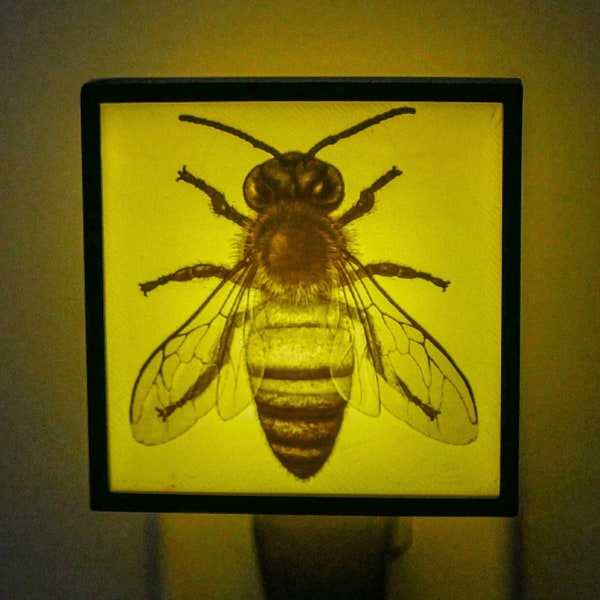 Honey Bee Theme Wall Plug-in Night Light For Insect, Bug, and Nature Lover