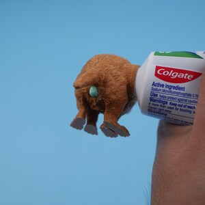 Golden Retriever Puppy Poop Toothpaste Topper – Gag Gift for Dog Lovers ...