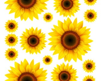 Free Free 111 Sunflower Waterslide Svg Free SVG PNG EPS DXF File