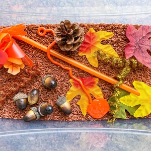 Herbst Sensory Kit - Herbst Sensory Bin - Herbst Sensory Play - Herbst Busy Box - Herbst Fun Box
