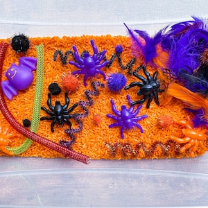Halloween Sensory Kit - October Sensory Kit - Halloween Activity - Trick or Treat Box - Halloween Busy Bin- Pretend Play - Halloween Gift