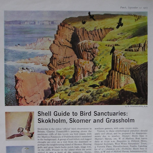 1965 SHELL BIRD SANCTUARIES .Skokholm.Skomer @ grassholm magazine advert