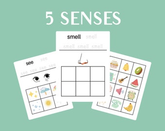 5 Senses Worksheets Printable