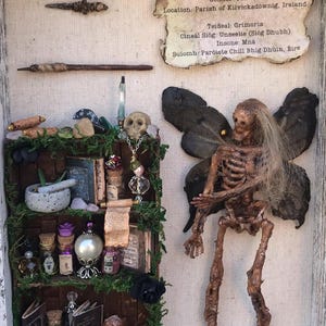 May include: A shadow box diorama featuring a skeletal fairy with dark wings, a miniature bookshelf with potion bottles, and a scroll. The text on the sign reads "Grimoria, Fairy Type: Unseelie (Dark Fairy)".