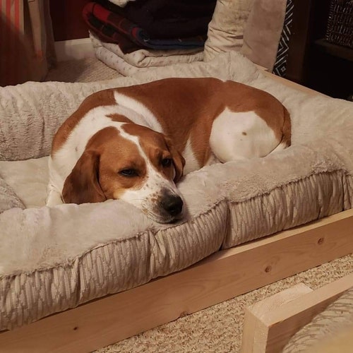 Handmade Wooden Dog Beds Etsy
