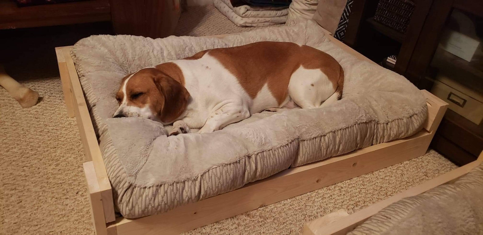 View of Handmade custom rustic wooden crate vintage style dog bed pet | Etsy