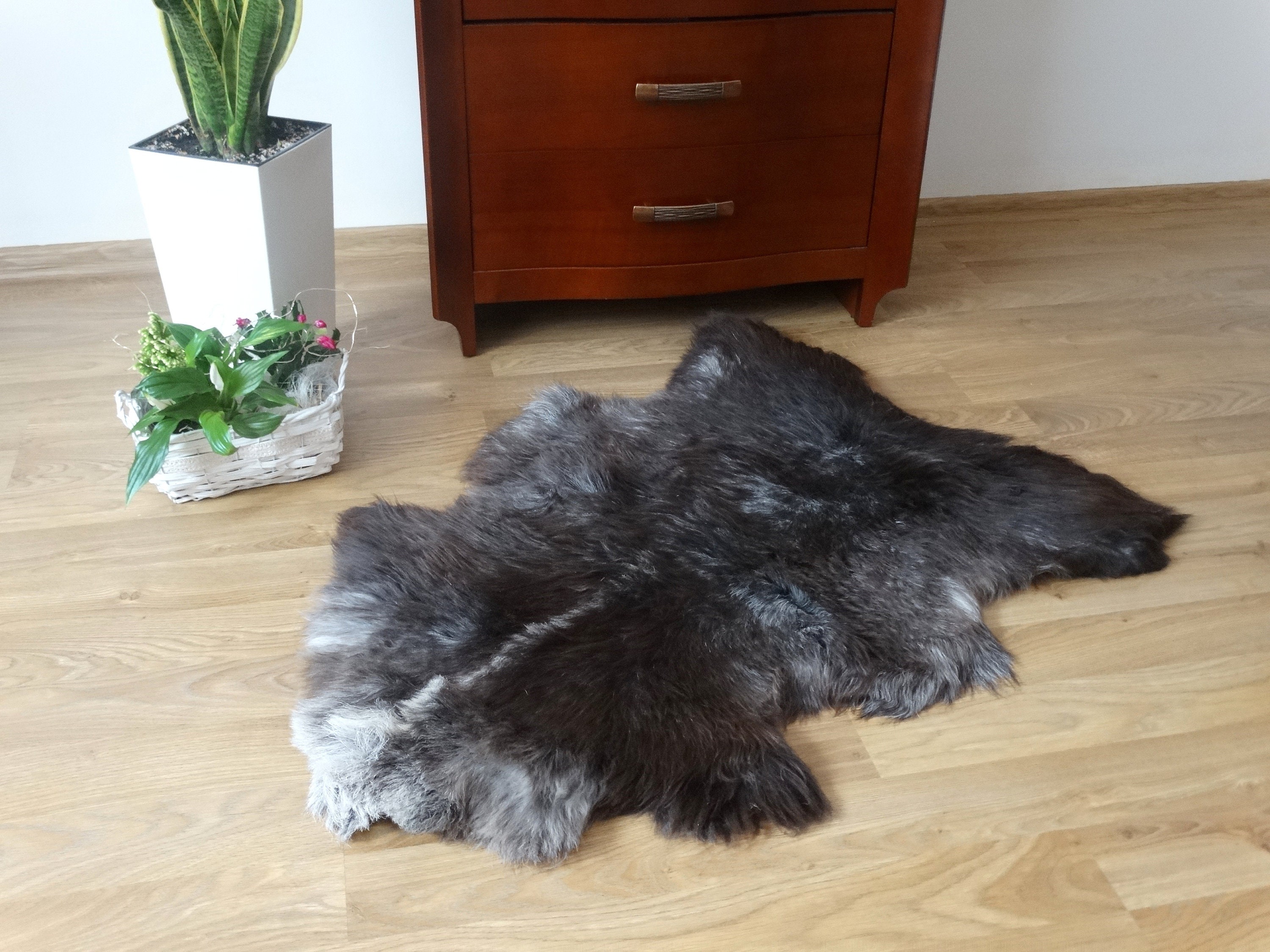 Natural Sheepskin Rug Real Animal Fur Multicolor Sheepskin Etsy UK