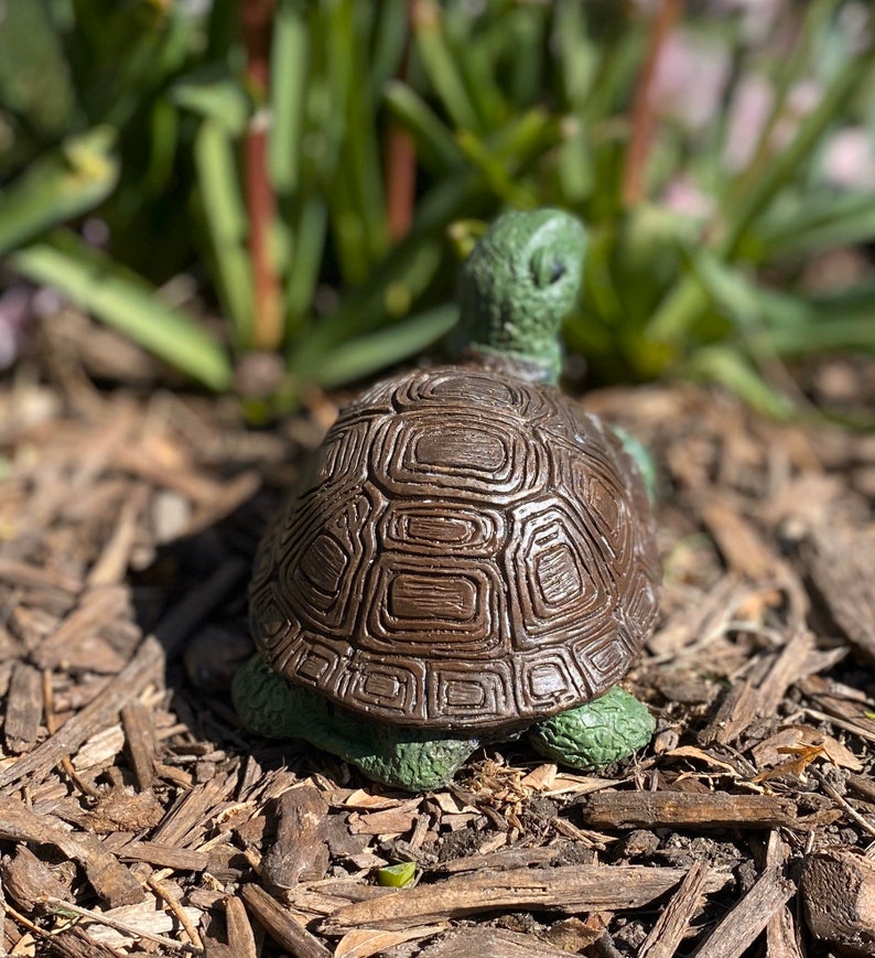Handmade Turtle Cement Statue - Etsy