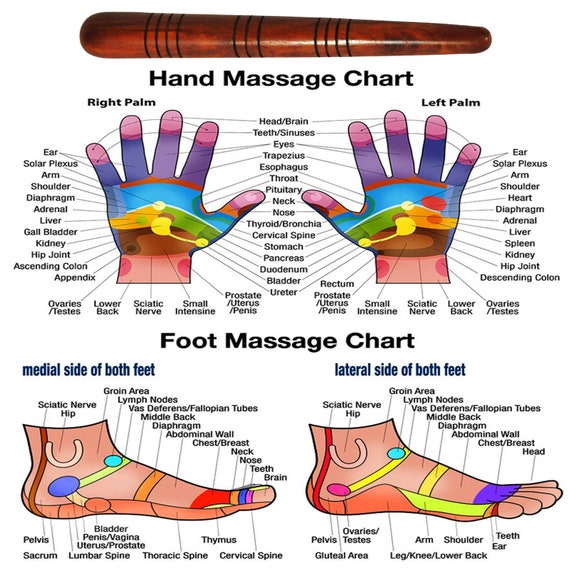 Thai Foot Reflexology Chart