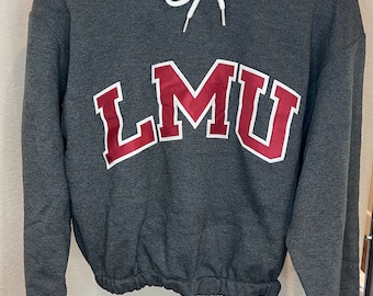 Lmu champion hoodie sale