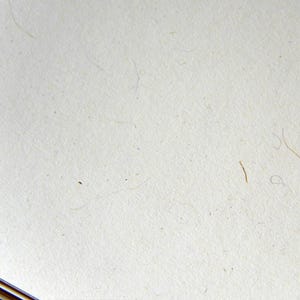 Op de afbeelding: Een close-up van een effen wit oppervlak met een paar kleine bruine en witte vlekken.