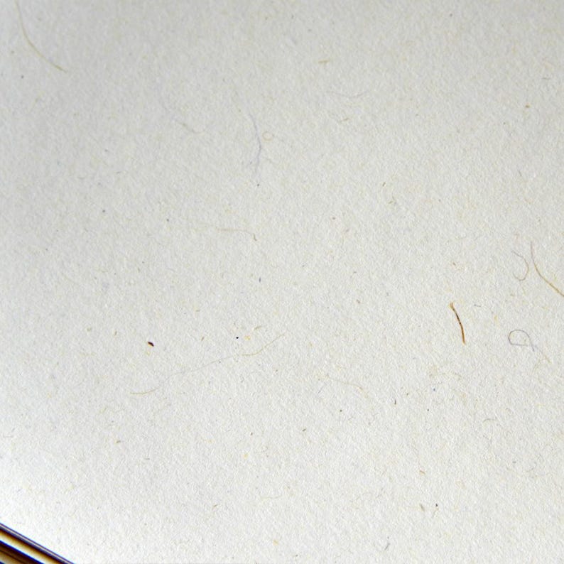 Op de afbeelding: Een close-up van een effen wit oppervlak met een paar kleine bruine en witte vlekken.