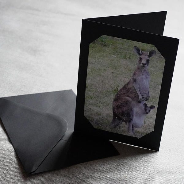 Blank Photo Frame Cards & Envelopes, 5'' x 7'' Premium Paper Cards for 4" x 6" Photo Inserts, Black, Pack of 30/60