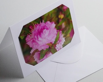 Blank Photo Frame Cards & Envelopes, 5'' x 7'' Premium Paper Cards for 4" x 6" Photo Inserts, White, Pack of 30/60