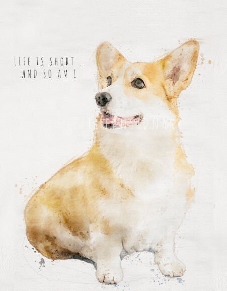 No Thoughts Just Corgis: A Comprehensive Compendium of Cuteness by Union  Square 9781454951858