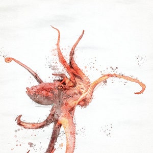 Octopus Watercolor, Octopus Art, Ocean Art, Octopus painting