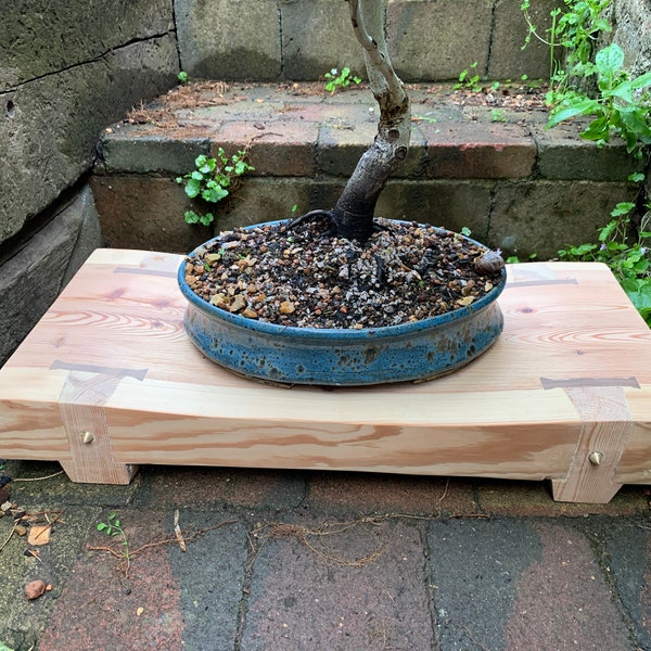 Bonsai Display Stand Etsy UK