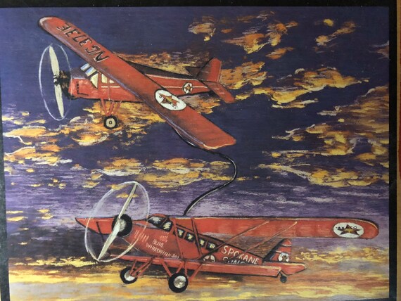 Wings of Texaco Die-cast 1929 Buhl CA-6  display picture 1